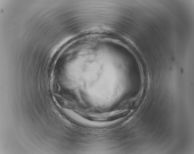 X0000053141018200508012238