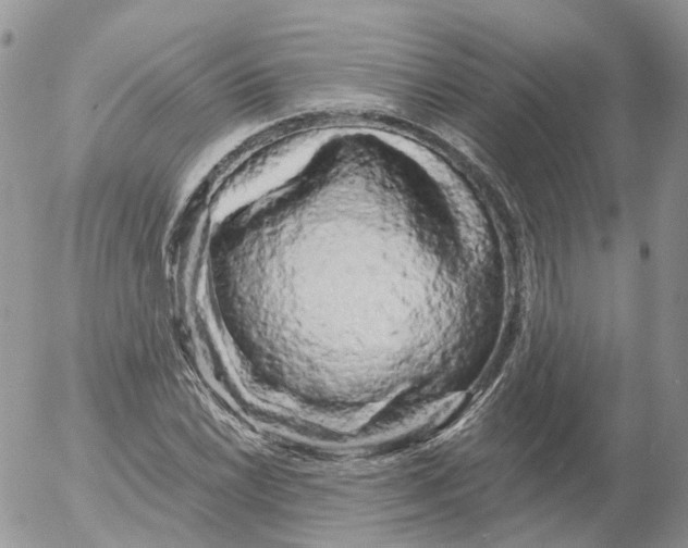 X0000053141022200508012238