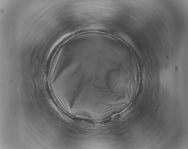 X0000053141024200508012238