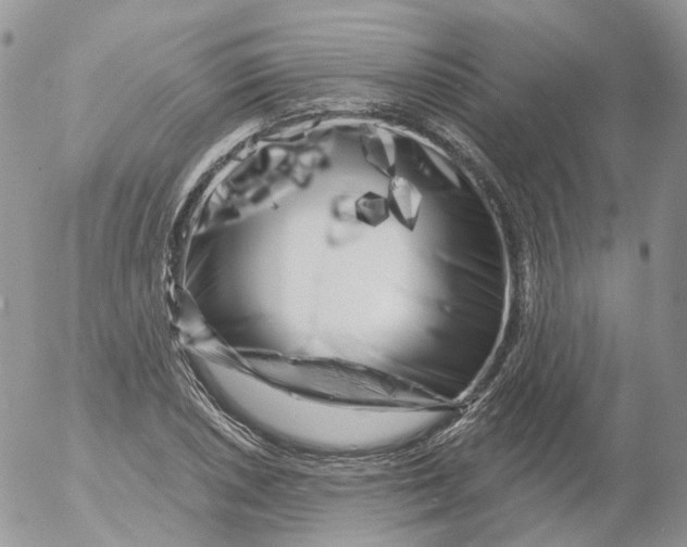 X0000053141026200508012238