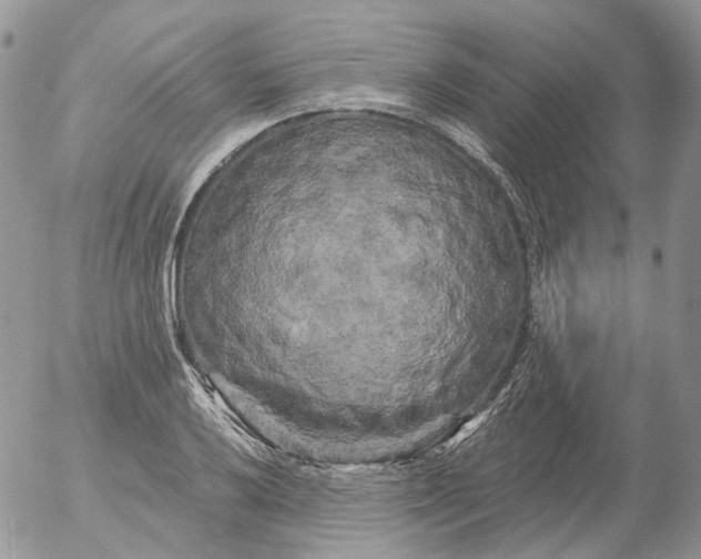 X0000053141032200508012238