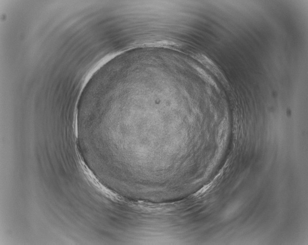 X0000053141036200508012238