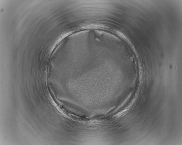 X0000053141041200508012238