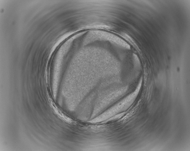 X0000053141044200508012238