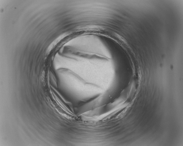 X0000053141066200508012238