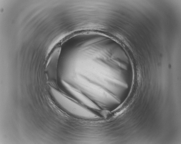 X0000053141069200508012238
