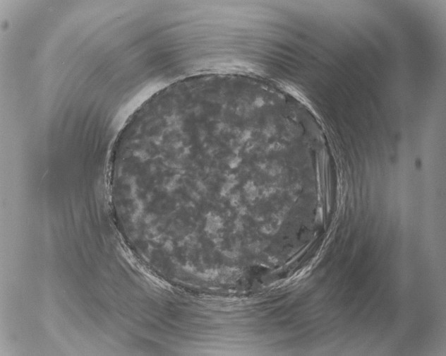 X0000053141071200508012238
