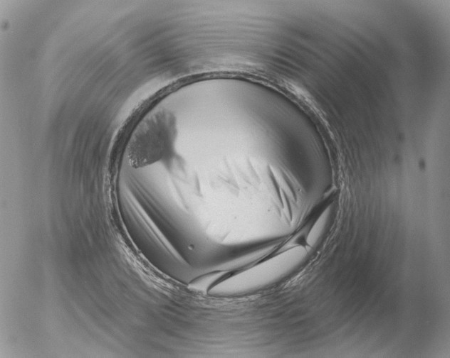 X0000053141072200508012238