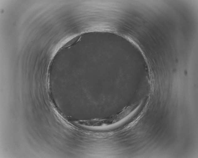 X0000053141077200508012237