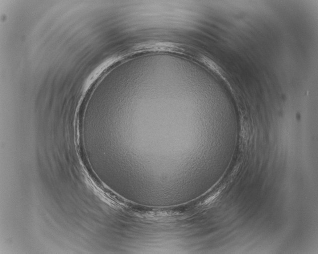 X0000053141082200508012237