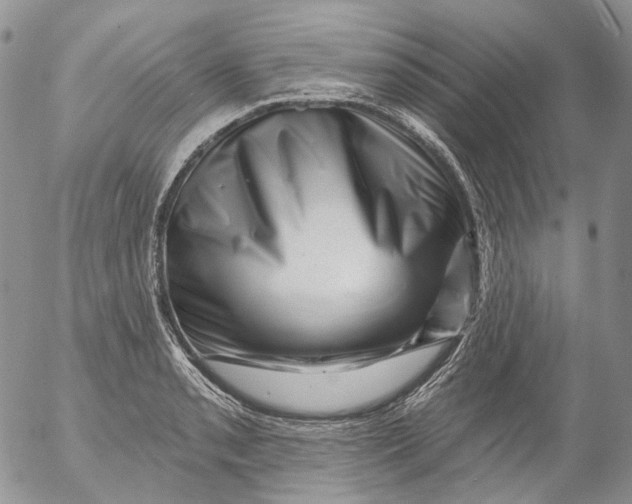 X0000053141085200508012237