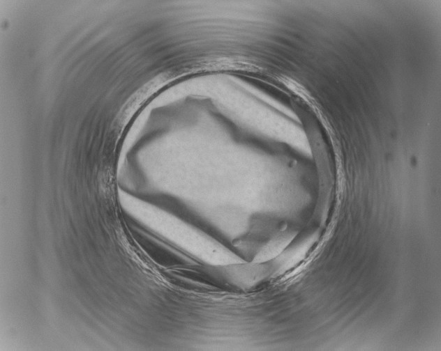 X0000053141089200508012237