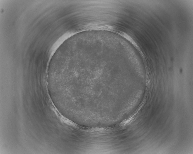 X0000053141094200508012237