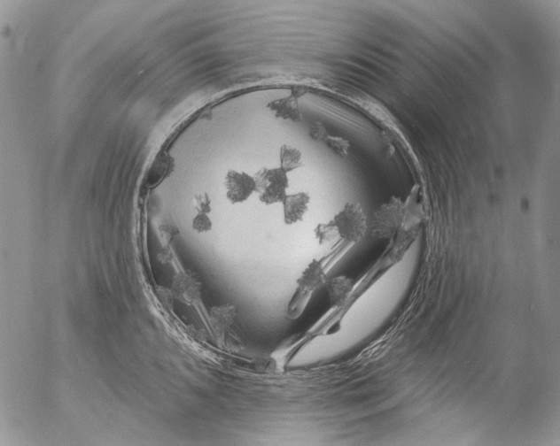 X0000053141096200508012237