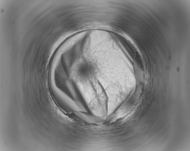X0000053141102200508012237