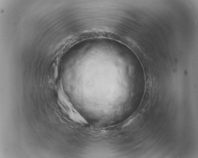 X0000053141110200508012236