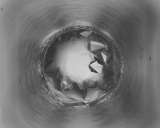 X0000053141112200508012236