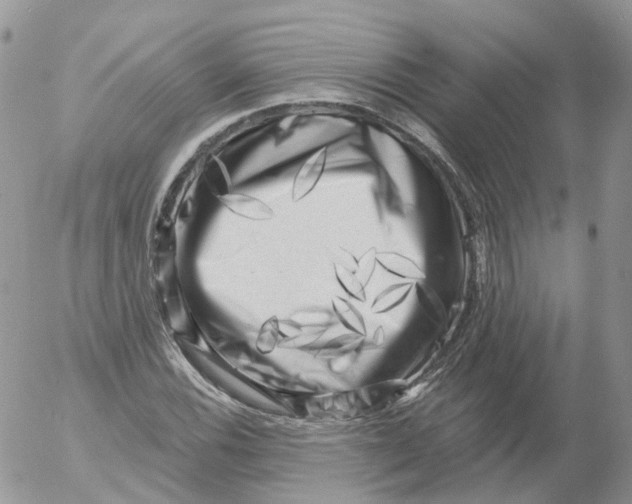 X0000053141116200508012236