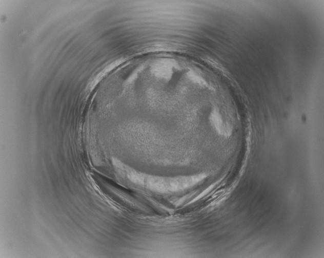 X0000053141121200508012236