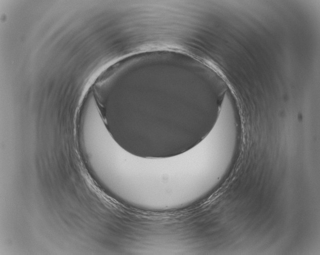 X0000053141124200508012236