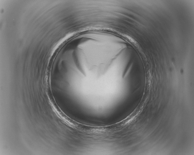X0000053141134200508012237