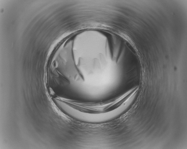 X0000053141136200508012237