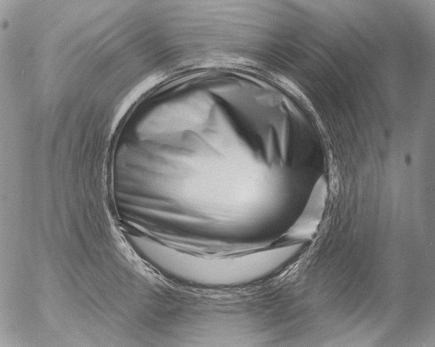 X0000053141138200508012237