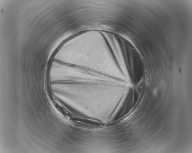 X0000053141139200508012237