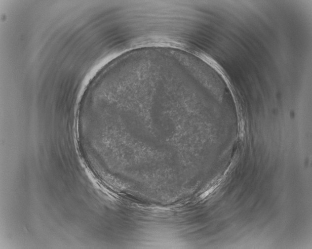 X0000053141144200508012237