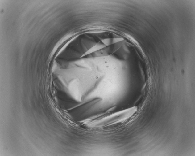 X0000053141146200508012237