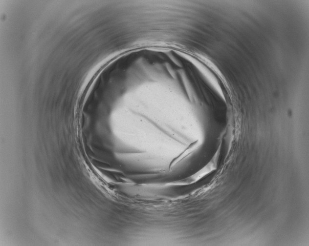 X0000053141148200508012237