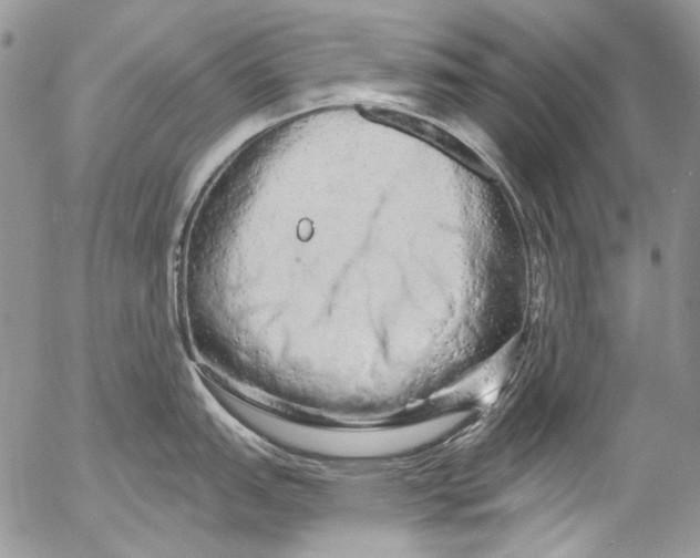 X0000053141151200508012237
