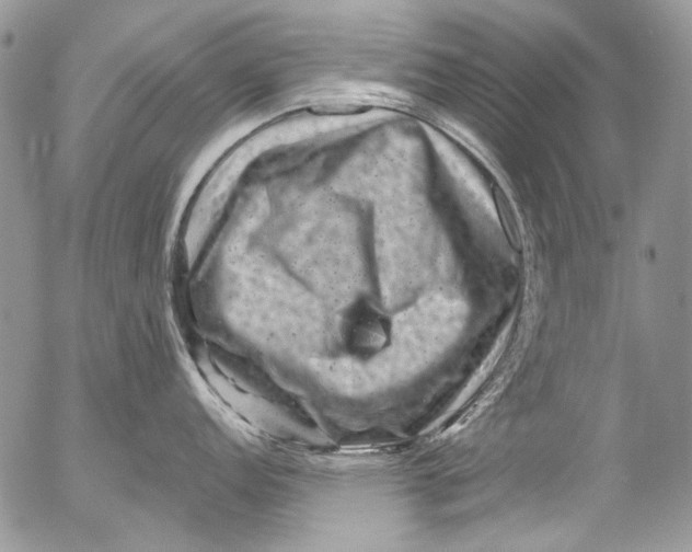 X0000053141152200508012237