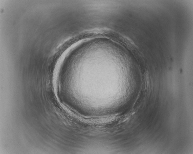 X0000053141158200508012236