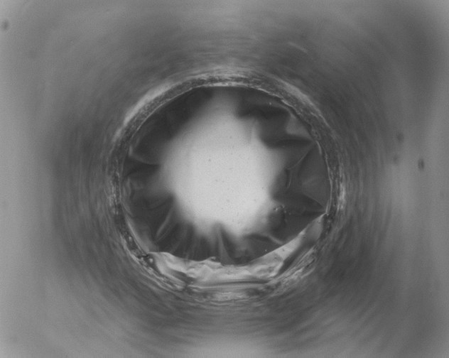X0000053141160200508012236