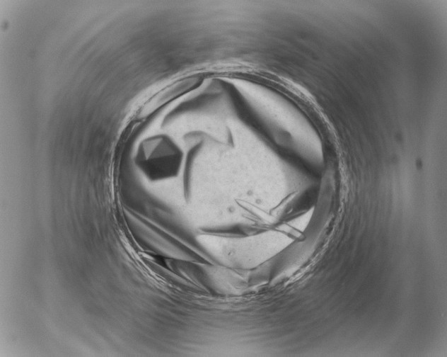 X0000053141176200508012236