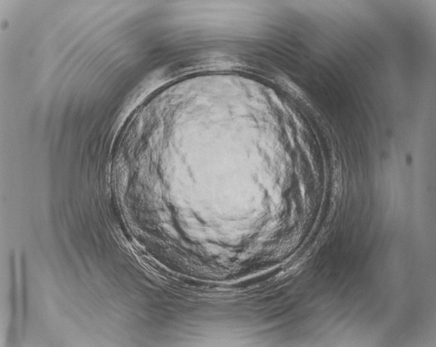 X0000053141178200508012236