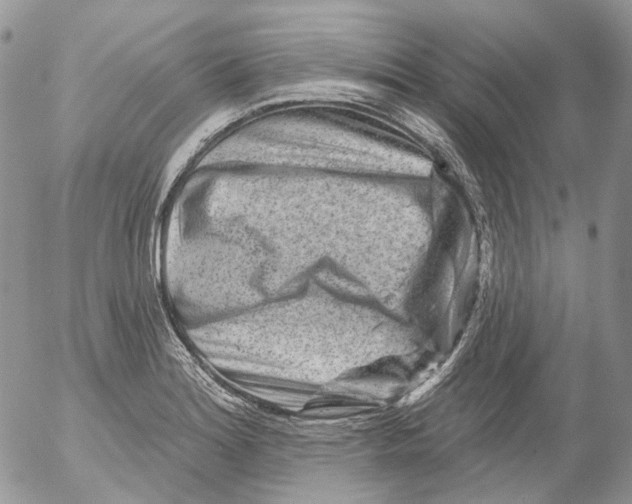X0000053141180200508012236