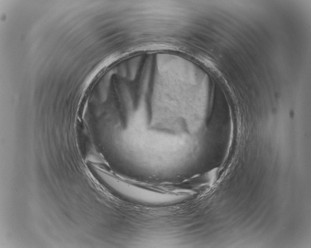 X0000053141181200508012236