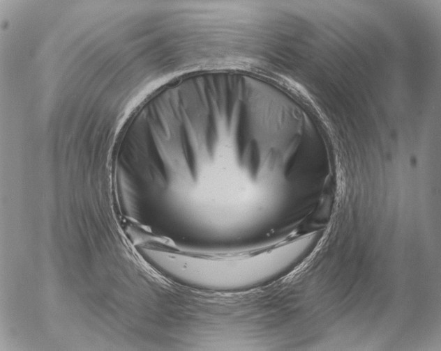 X0000053141184200508012236