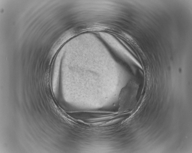X0000053141186200508012236