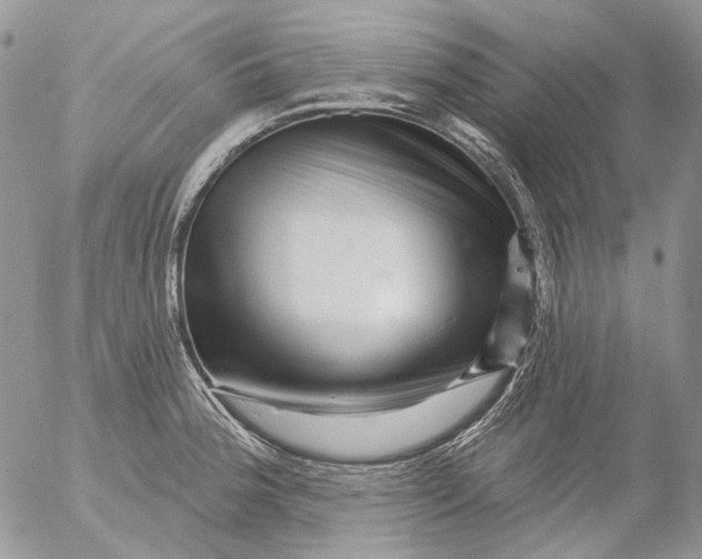 X0000053141188200508012236