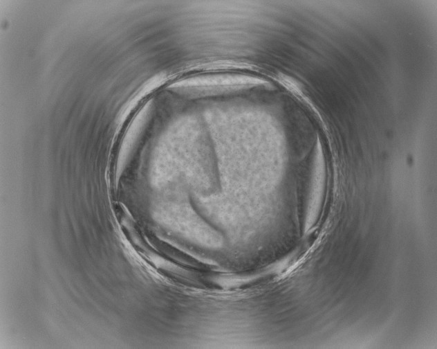 X0000053141189200508012236