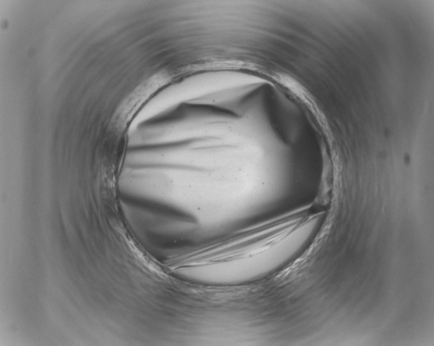 X0000053141193200508012235