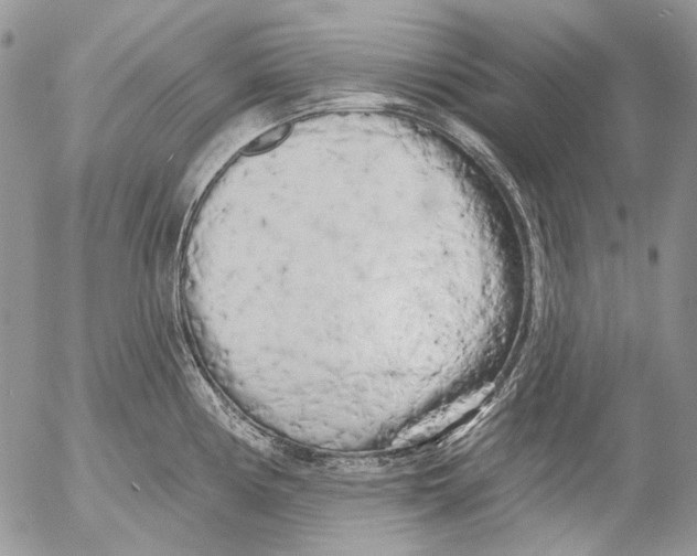 X0000053141194200508012235