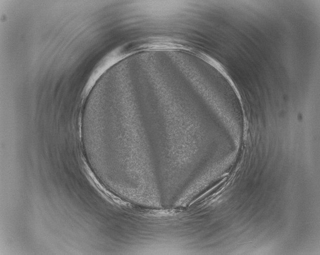 X0000053141195200508012235