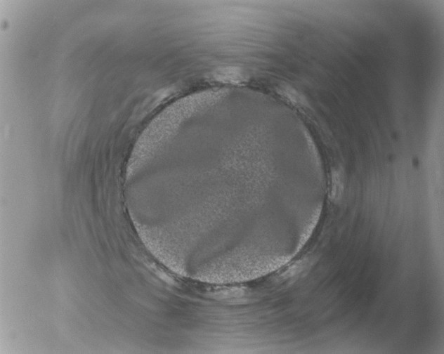 X0000053141201200508012235
