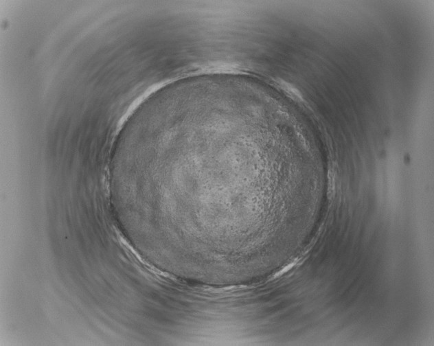 X0000053141212200508012235
