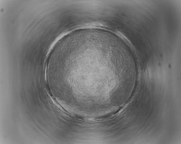 X0000053141224200508012235