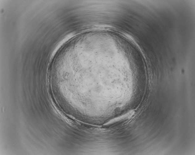 X0000053141235200508012235